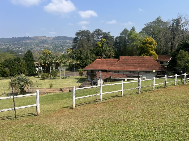 Rare Opportunity in the Quiet Side of Ferncliffe - Photo 5