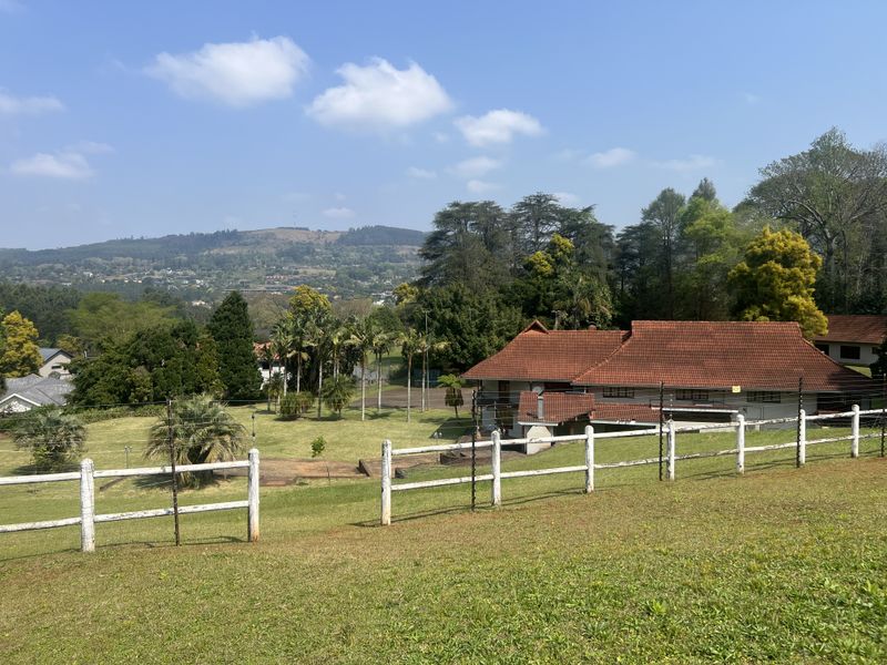 Rare Opportunity in the Quiet Side of Ferncliffe - Photo 7