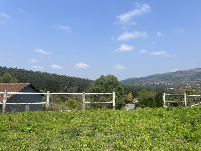 Rare Opportunity in the Quiet Side of Ferncliffe - Photo 2