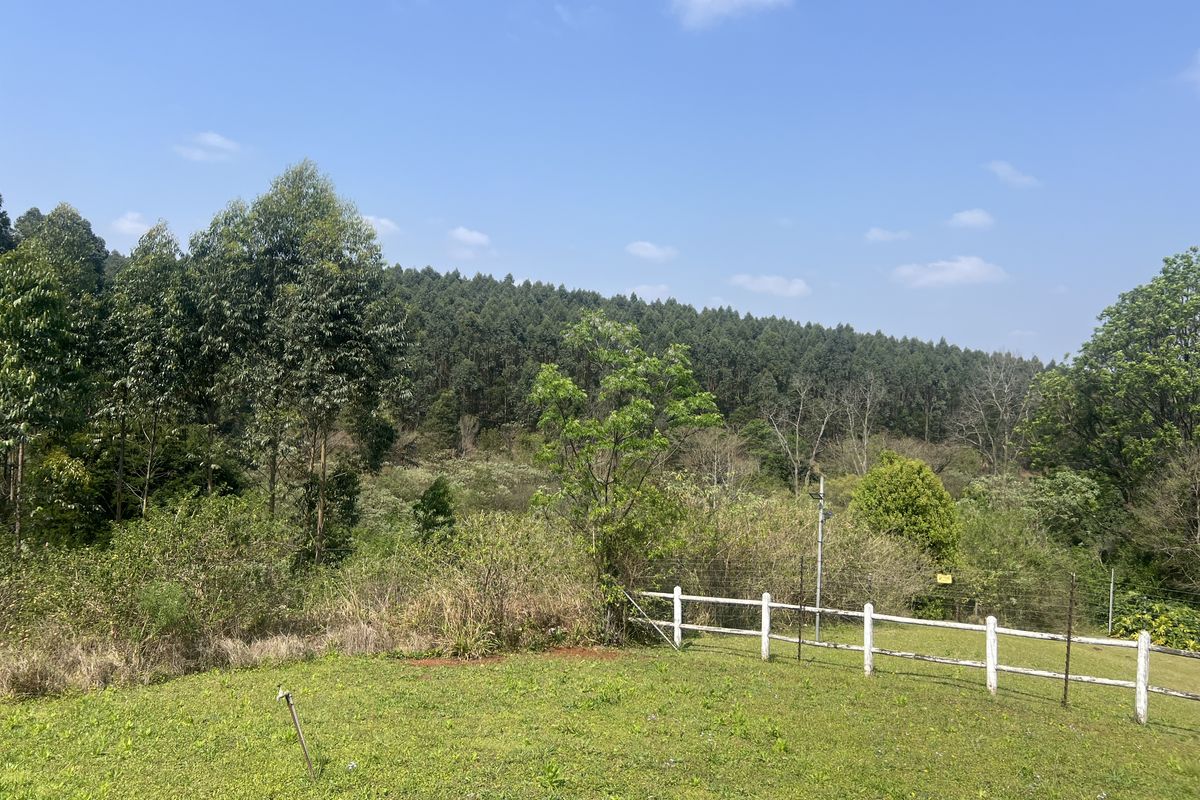 A scenic view of the vacant residential land featuring established trees, natural vegetation, and post and rail fencing.