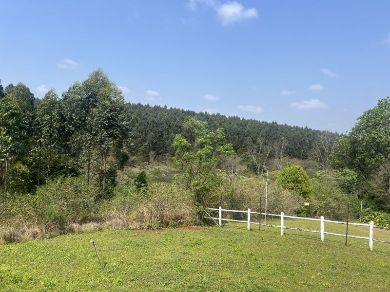 Rare Opportunity in the Quiet Side of Ferncliffe - Photo 3