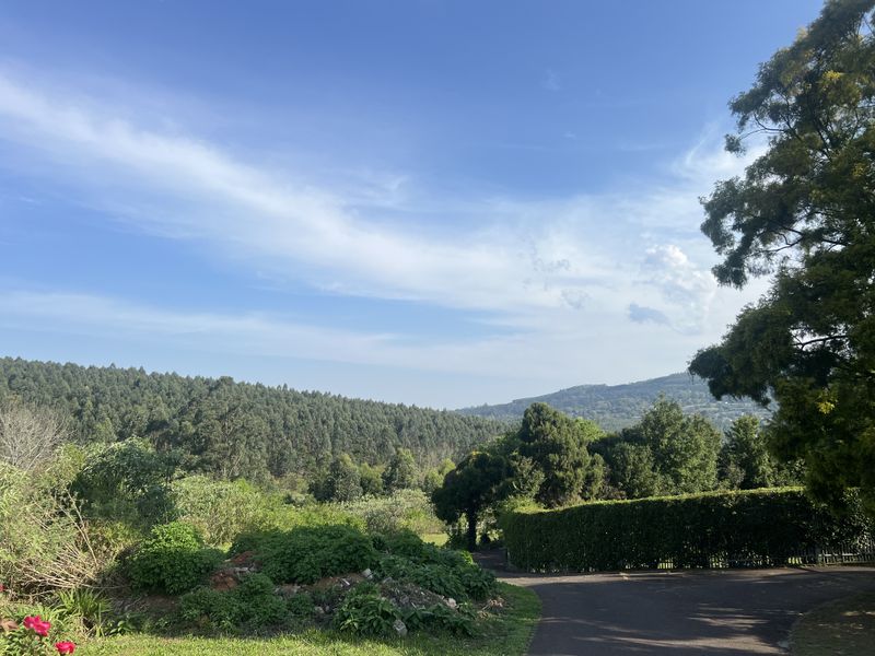 A scenic view of the surrounding landscape featuring lush greenery, mature trees, and a paved driveway leading through the property.