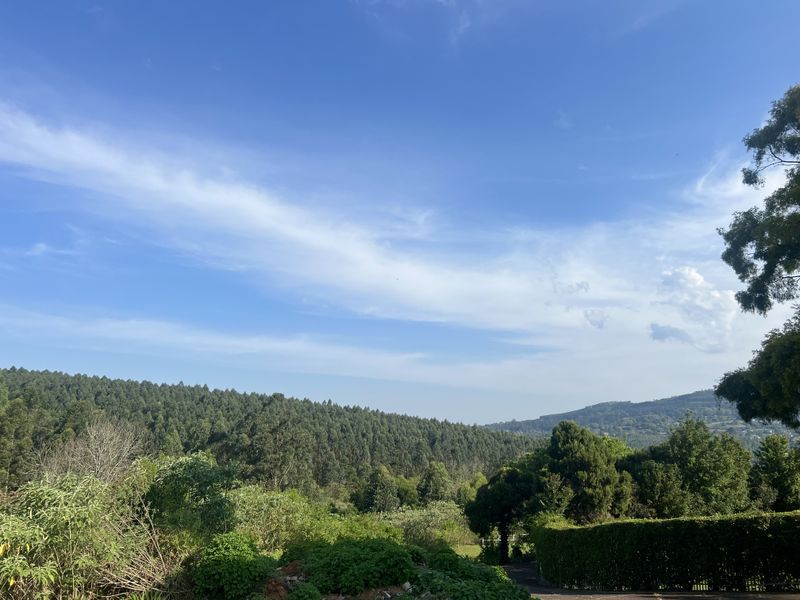 A scenic view overlooking a lush, forested landscape under a clear blue sky.