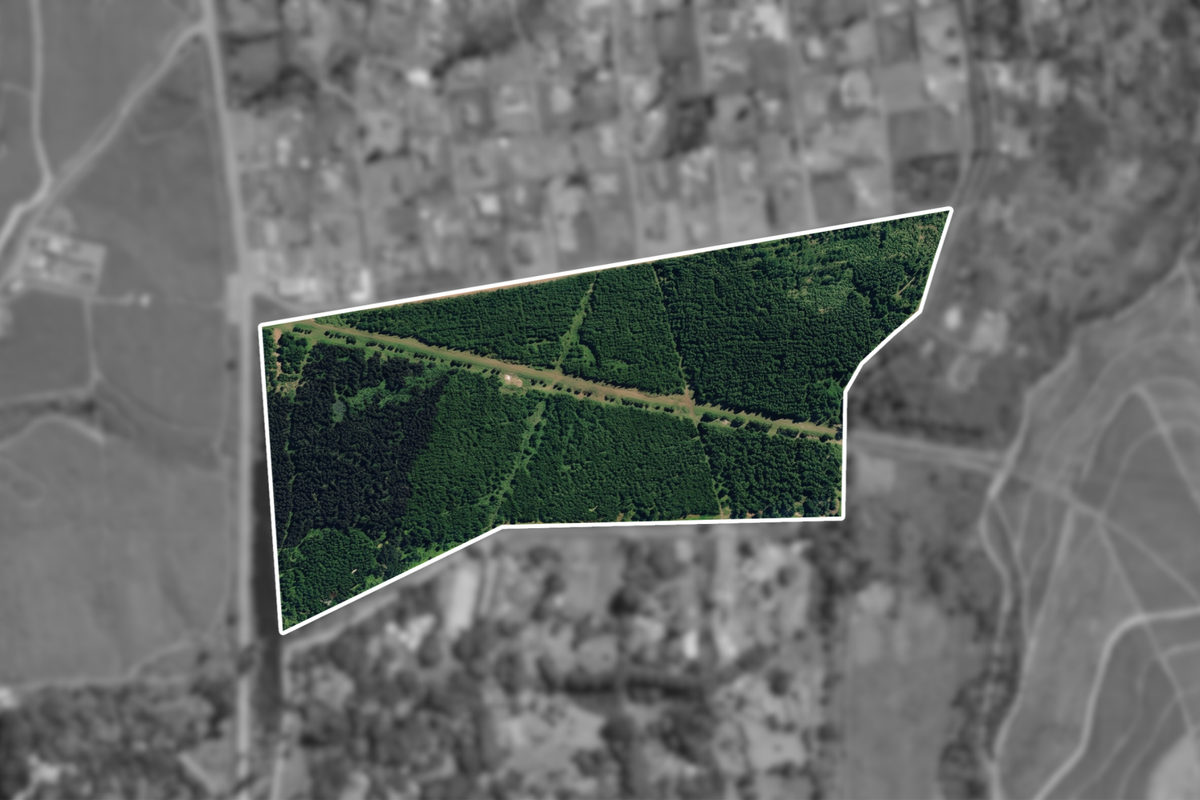 Aerial view of a large, wooded residential land parcel with a clear boundary outline.