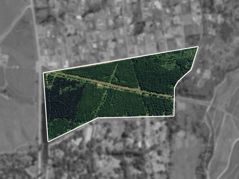 Aerial view of a large, wooded residential land parcel with a clear boundary outline.