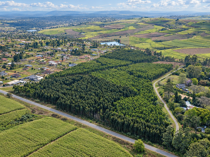 An aerial view of a large vacant land parcel featuring extensive woodland and surrounding agricultural fields with nearby residential development.