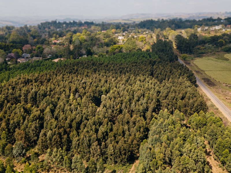 Aerial view of a large plot of forested land situated adjacent to a public road in a rural setting.