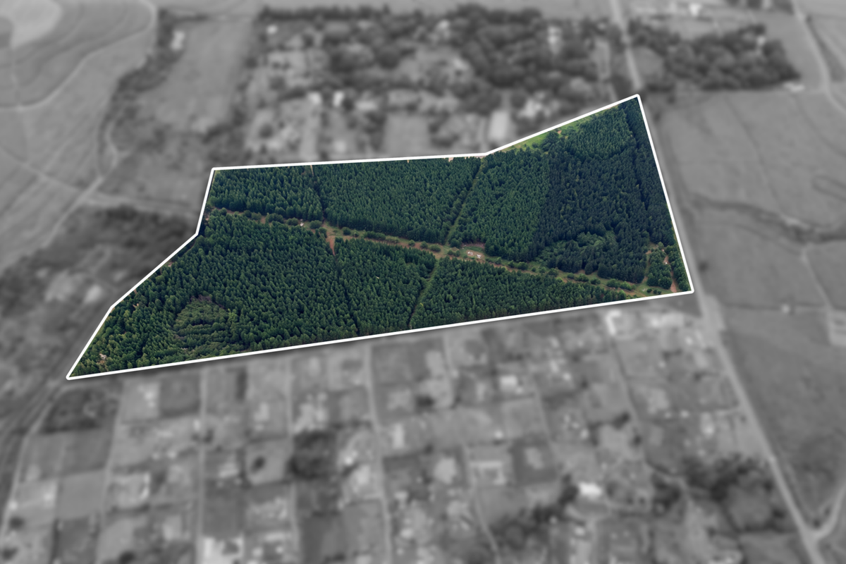 An aerial view of a large, wooded residential land parcel with clearly defined boundaries and internal access paths.