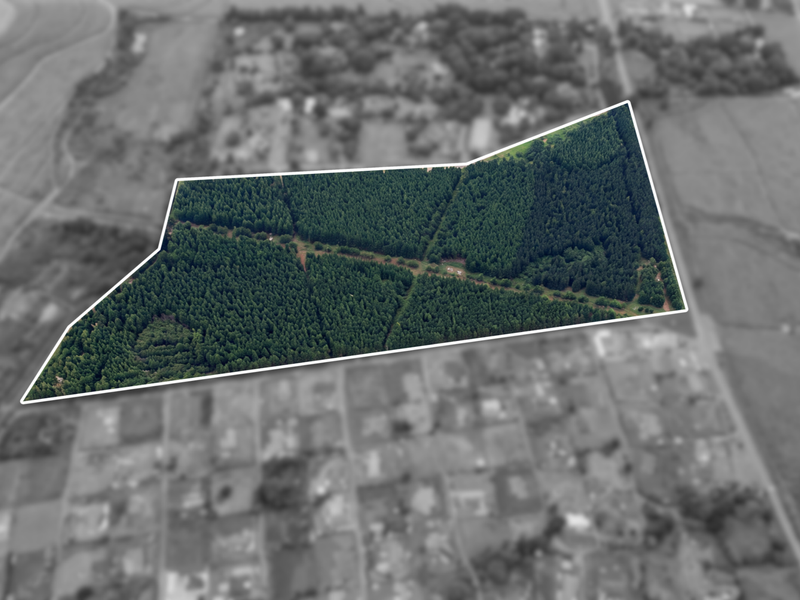 An aerial view of a large, wooded residential land parcel with clearly defined boundaries and internal access paths.