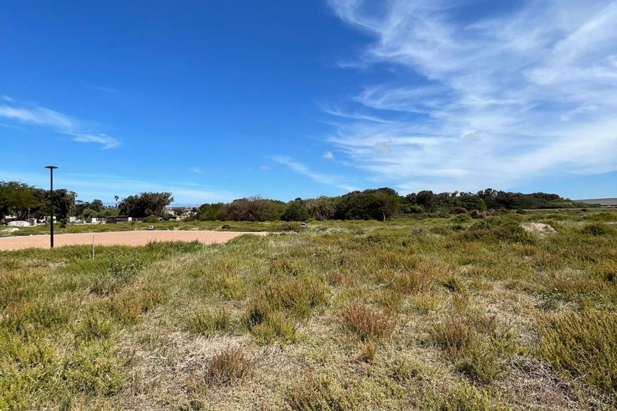 A wide-angle view of a vacant residential plot featuring natural coastal vegetation and a clear blue sky.