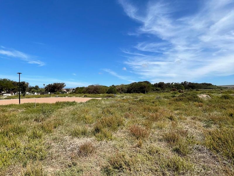 A wide-angle view of a vacant residential plot featuring natural coastal vegetation and a clear blue sky.
