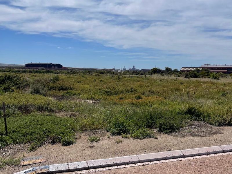 A view of a vacant residential plot featuring a paved road, concrete curbing, and a manhole cover in the foreground.