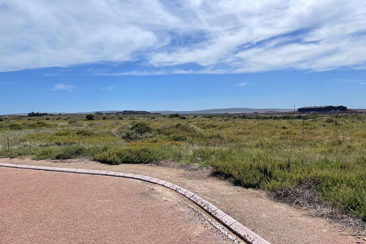 A view of a vacant residential plot featuring natural vegetation, a paved curb, and perimeter fencing under a clear blue sky.