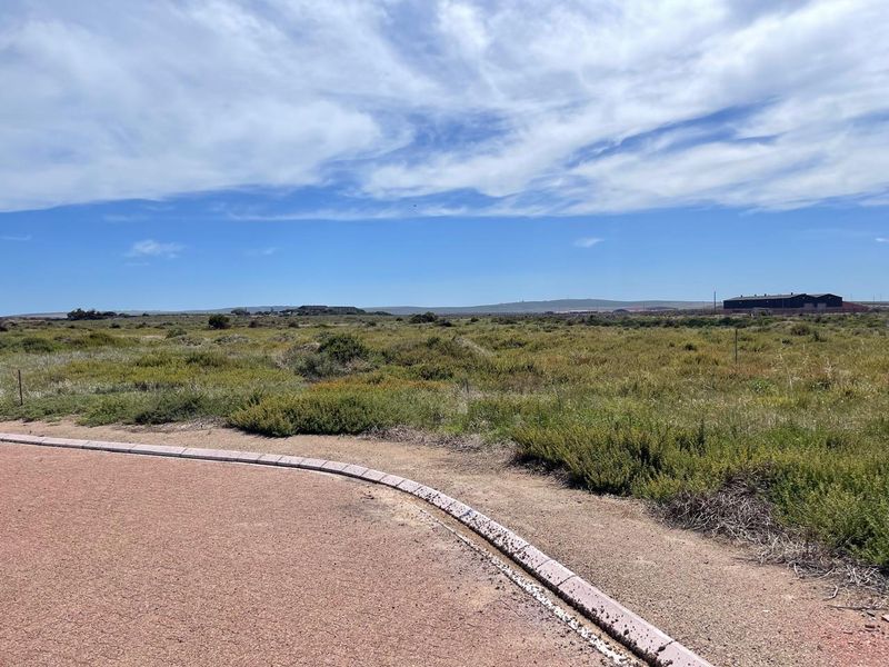 A view of a vacant residential plot featuring natural vegetation, a paved curb, and perimeter fencing under a clear blue sky.