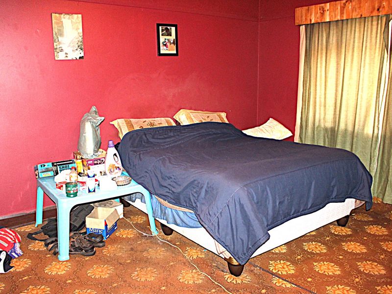 A bedroom featuring red walls, patterned carpeting, and window curtains. The space requires cosmetic updates to improve its overall condition and appeal.