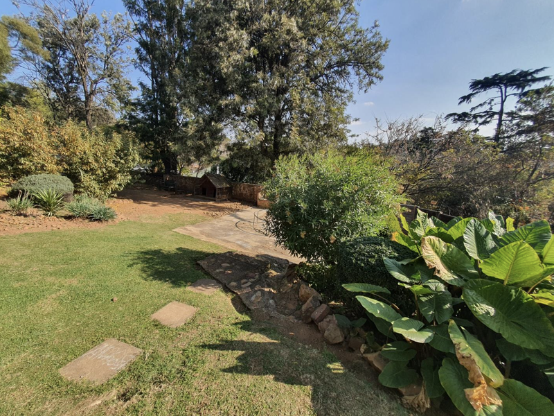 A spacious, established garden featuring mature trees, lush greenery, stone pathways, and a paved area, offering a tranquil outdoor setting.