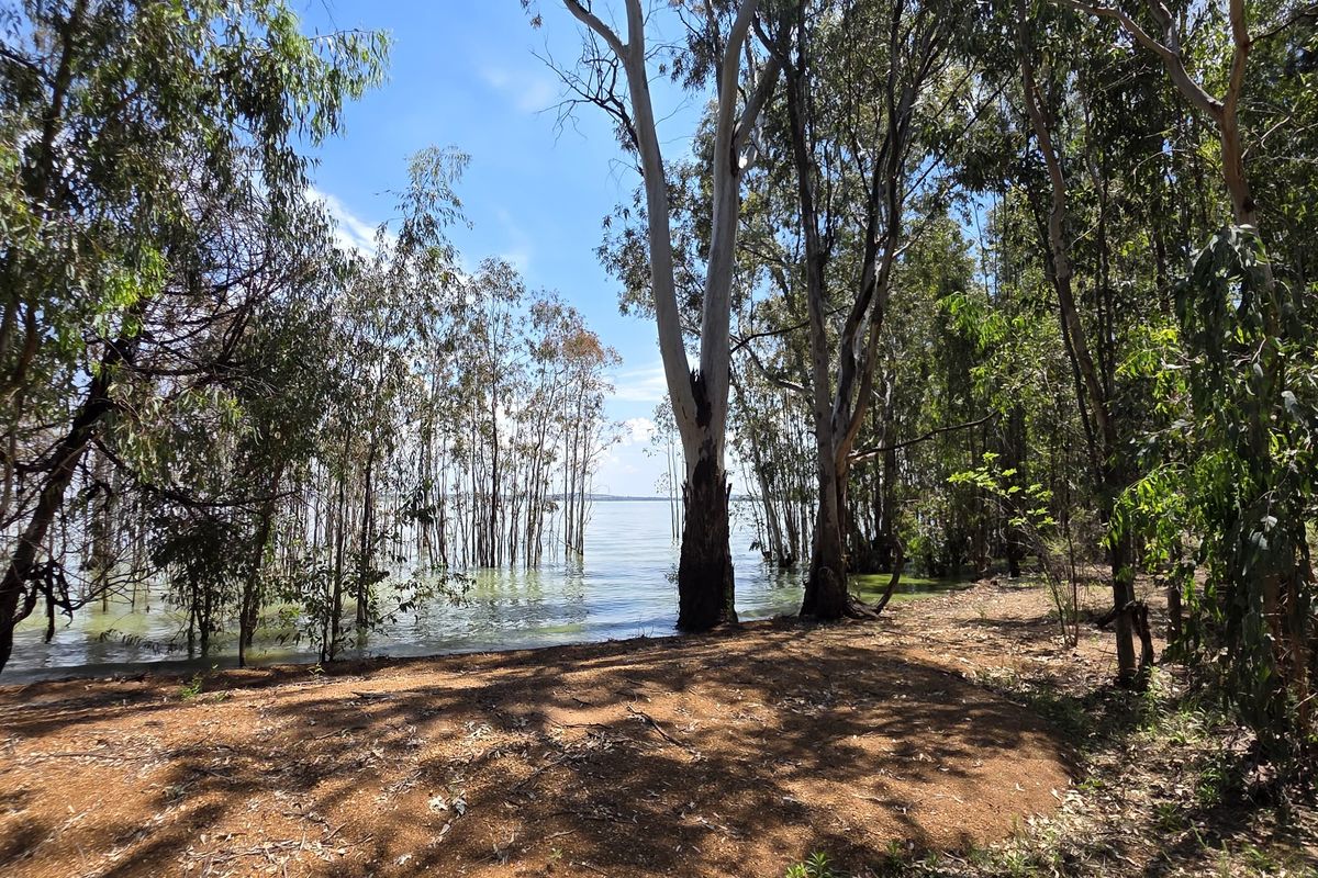 A scenic view of the property's waterfront area, featuring mature trees and direct access to the water's edge.