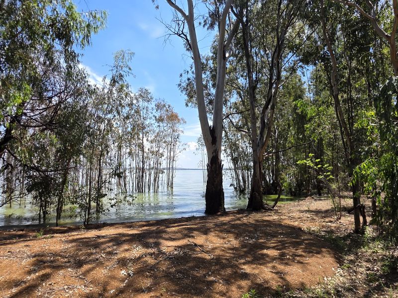 A scenic view of the property's waterfront area, featuring mature trees and direct access to the water's edge.