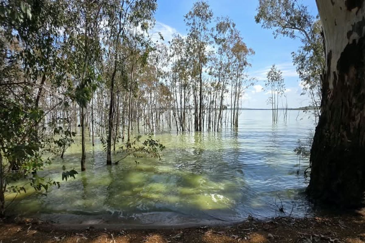 A scenic view of the property's waterfront area, featuring mature trees and direct access to the water.