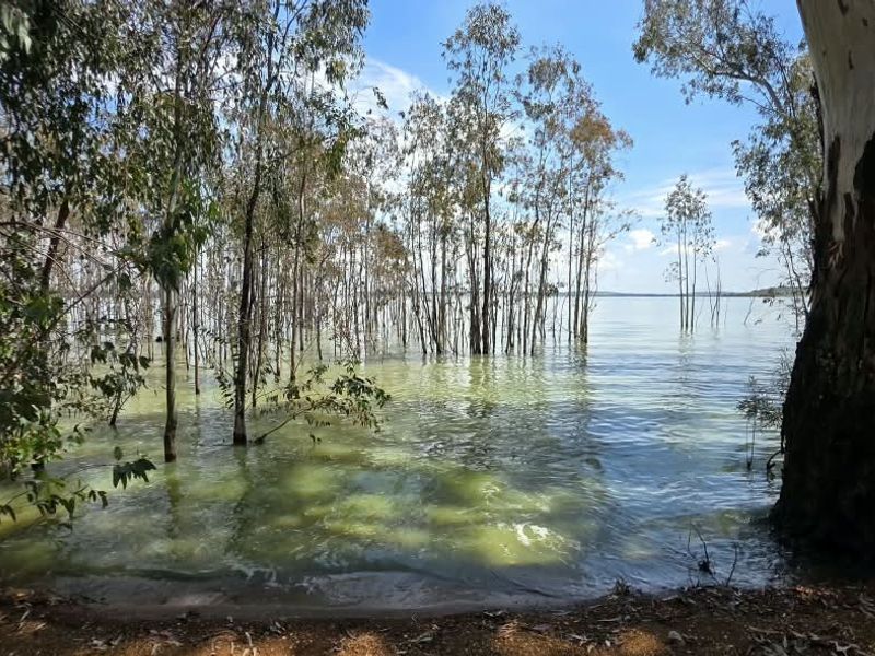 A scenic view of the property's waterfront area, featuring mature trees and direct access to the water.