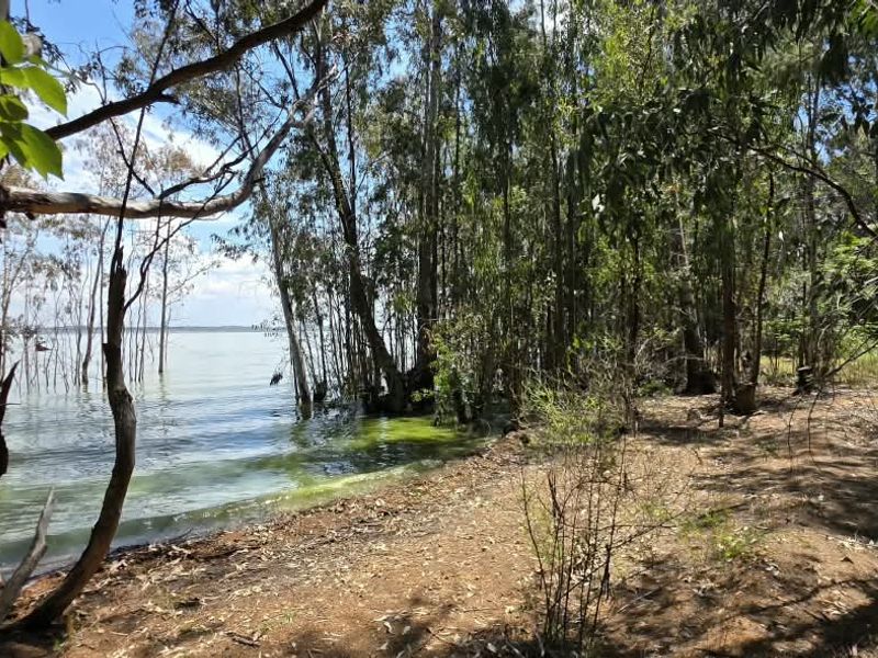 A scenic view of the property's waterfront area, featuring mature trees and direct access to the lake shore.