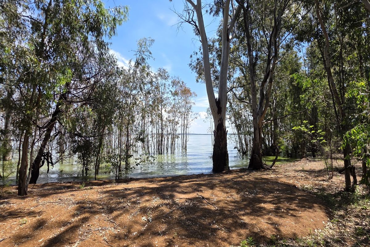 A scenic view of the property's waterfront area, featuring mature trees and direct access to the water's edge.