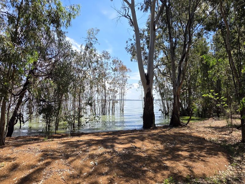 A scenic view of the property's waterfront area, featuring mature trees and direct access to the water's edge.