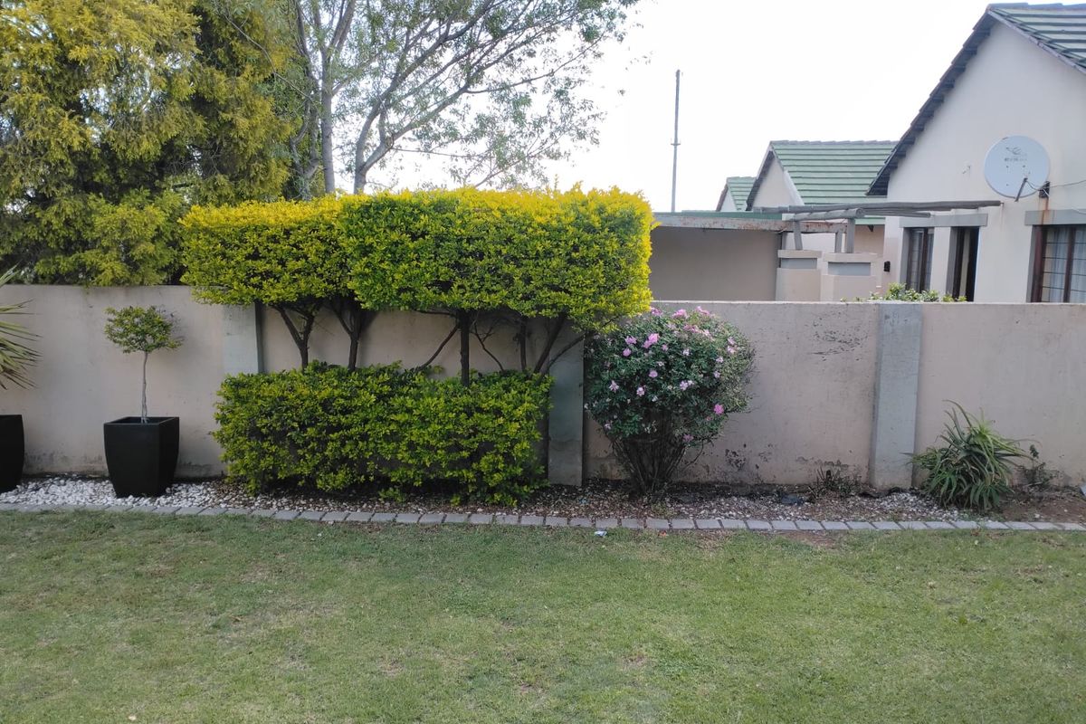 A well-maintained garden area featuring a lawn, manicured hedging, and a boundary wall with paved edging.