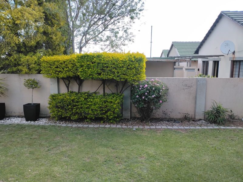 A well-maintained garden area featuring a lawn, manicured hedging, and a boundary wall with paved edging.