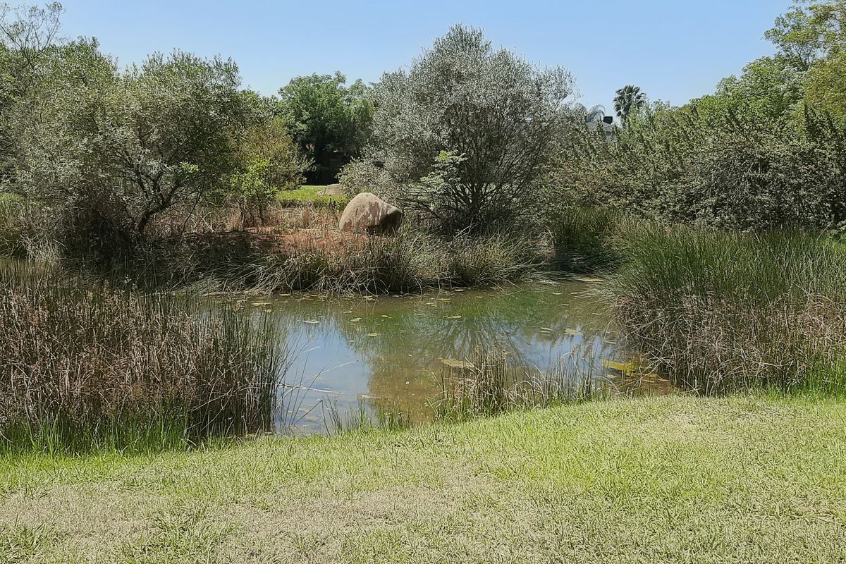 A peaceful natural pond feature surrounded by mature trees and lush greenery, enhancing the tranquil landscape of this residential property.