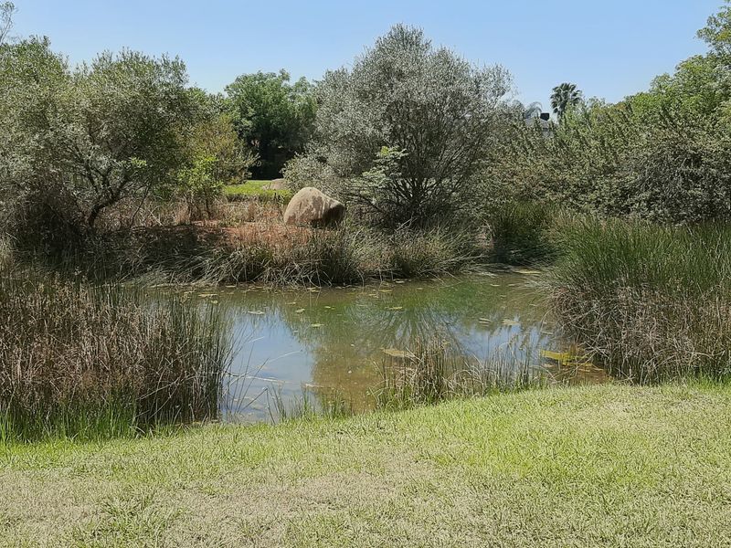 A peaceful natural pond feature surrounded by mature trees and lush greenery, enhancing the tranquil landscape of this residential property.