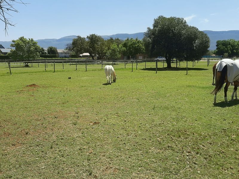 Expansive open grass paddock featuring post and rail perimeter fencing and mature trees with mountain views in the background.