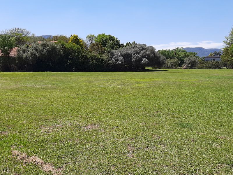 A spacious, well-maintained grassy plot featuring mature trees and established perimeter hedging, offering a peaceful and open residential setting.