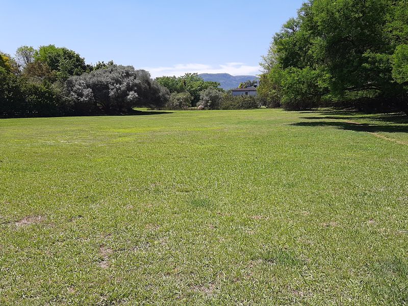 A spacious, well-maintained grass lawn surrounded by mature trees, offering a peaceful and open outdoor setting.