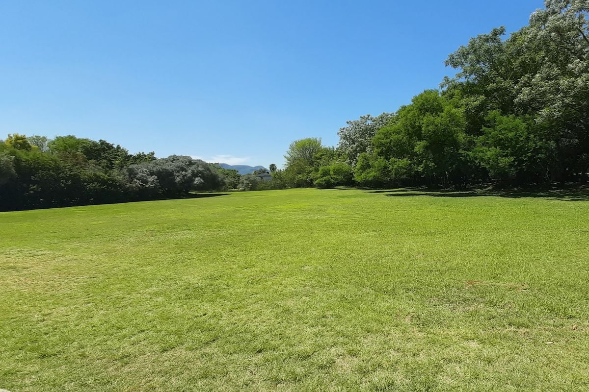A spacious, well-maintained grassy plot surrounded by mature trees, offering a peaceful and open outdoor setting.