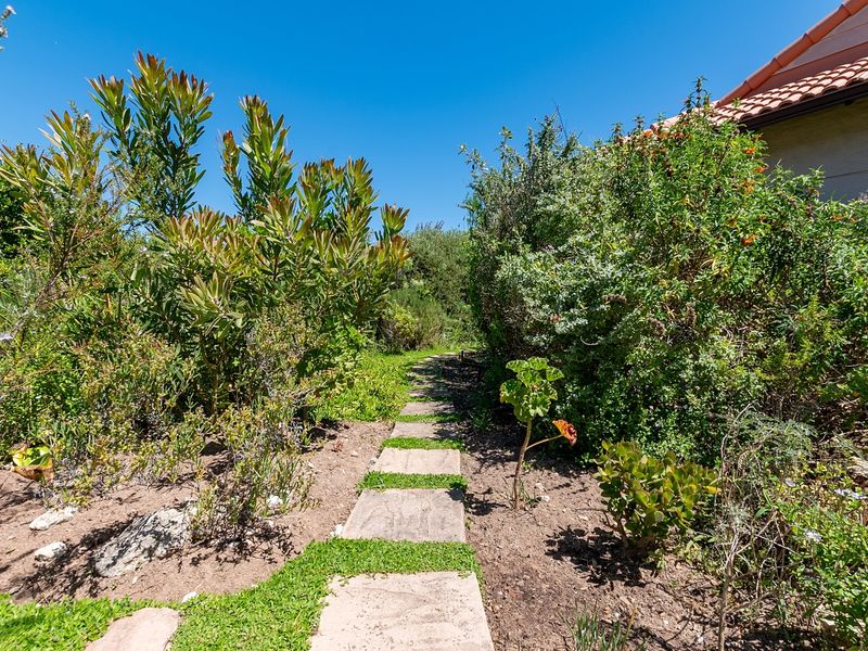 A landscaped garden path featuring stone pavers leading through established greenery alongside the side of the house.