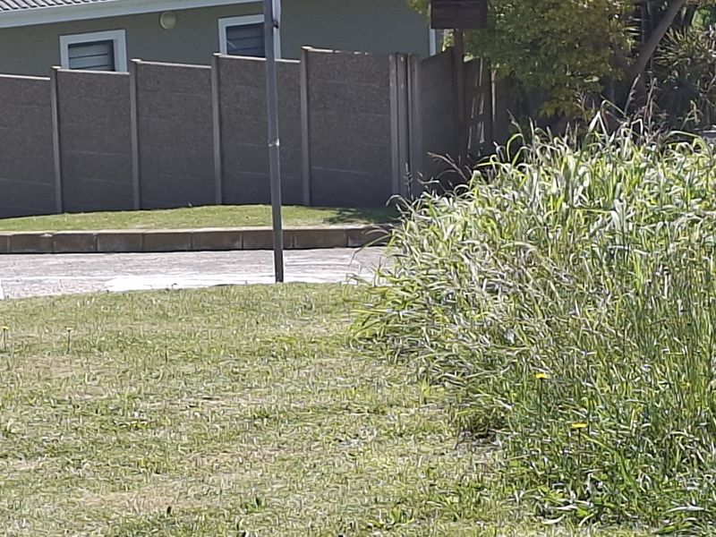 A view of the front boundary wall, paved driveway, and lawn area of the residential vacant land property.
