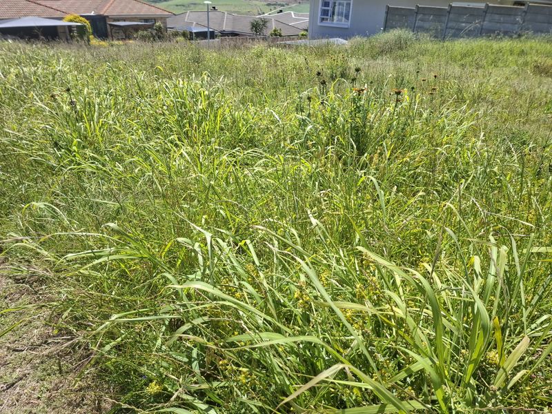 A view of a vacant residential plot featuring overgrown grass and vegetation, bordered by a perimeter wall with neighboring properties visible in the background.
