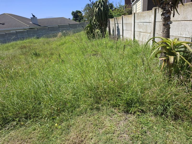 A view of the vacant residential plot featuring overgrown grass and an established precast concrete boundary wall.