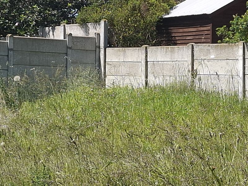 A view of a vacant residential plot featuring overgrown grass and a precast concrete boundary wall.