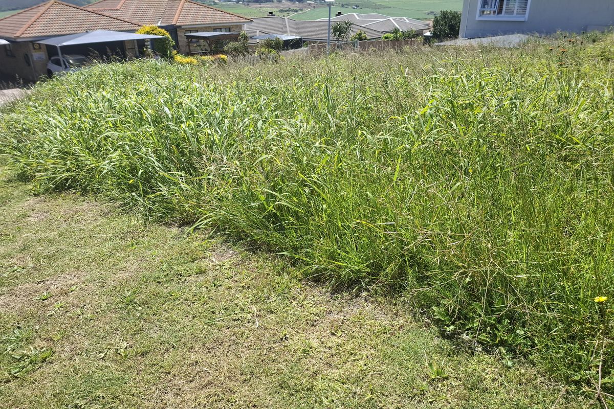 A view of a sloped, overgrown residential vacant plot with surrounding neighborhood houses in the background.