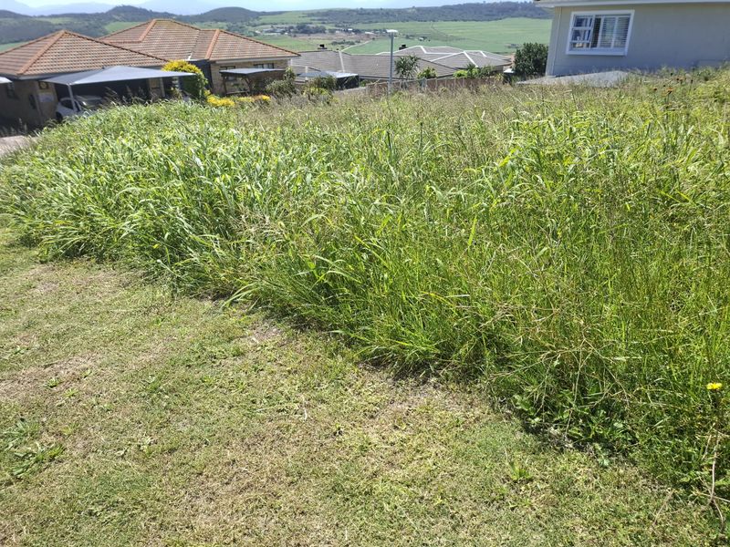 A view of a sloped, overgrown residential vacant plot with surrounding neighborhood houses in the background.