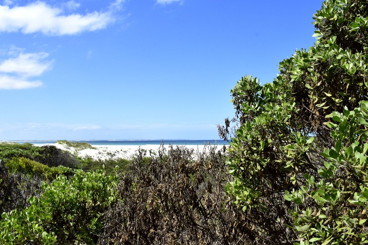 A scenic view of the coastal landscape featuring white sand dunes and ocean horizon.