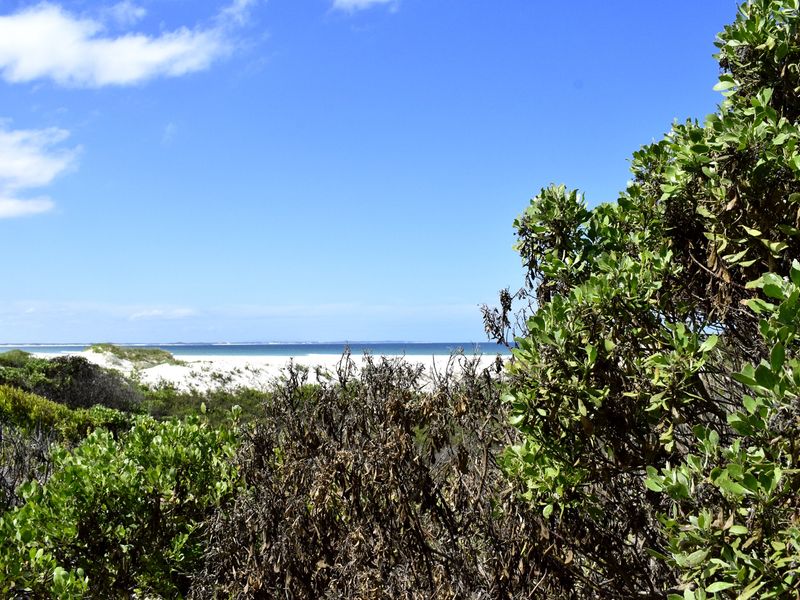 A scenic view of the coastal landscape featuring white sand dunes and ocean horizon.