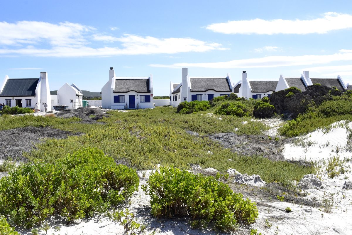 A view of multiple coastal cottages with traditional thatched roofs situated in a natural sandy landscape with native vegetation.