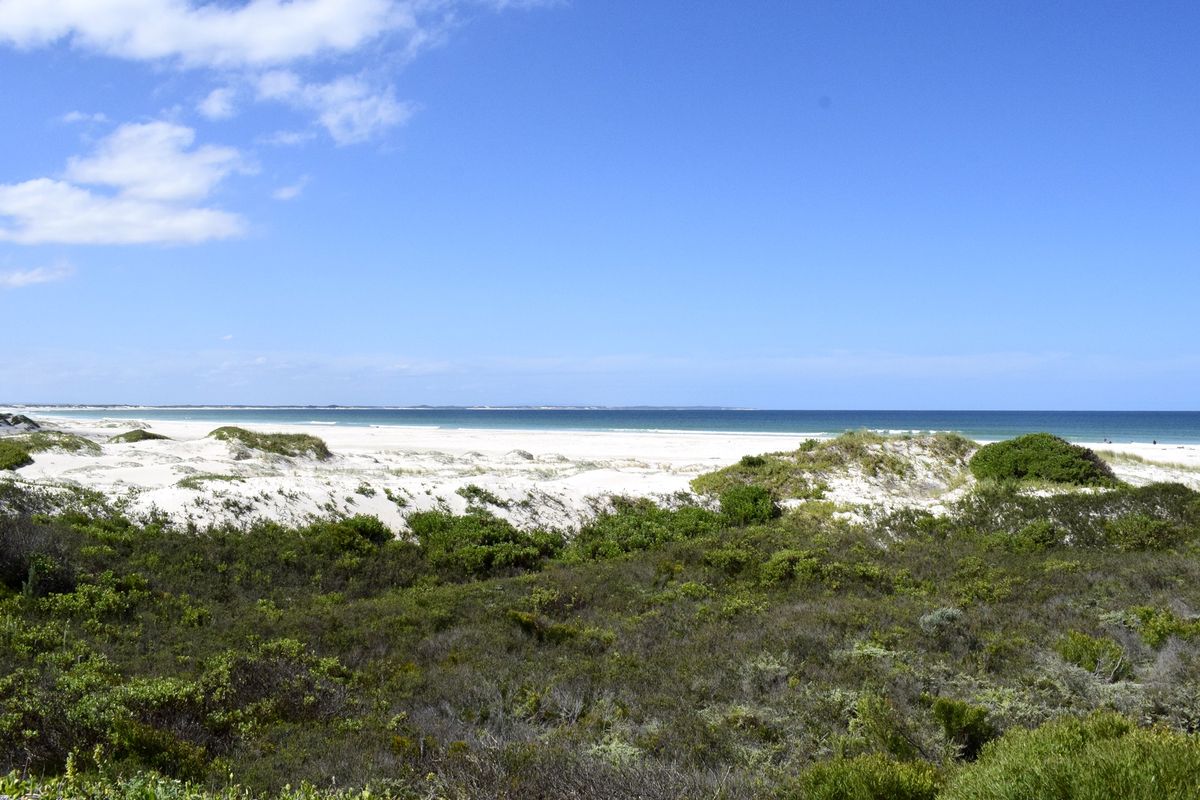 A scenic view of the pristine coastal landscape featuring white sand dunes and the ocean horizon.