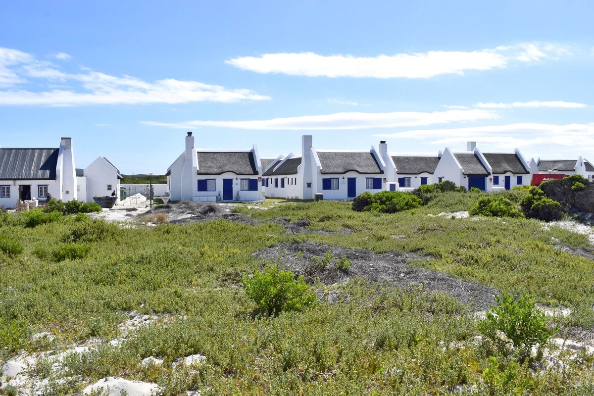 A row of white cottages with traditional thatched roofs and blue shutters, situated in a coastal landscape with natural vegetation.