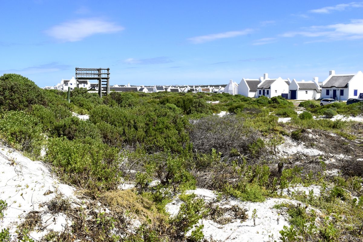 A scenic view of a coastal residential area featuring natural sandy terrain, native vegetation, and a wooden observation structure.