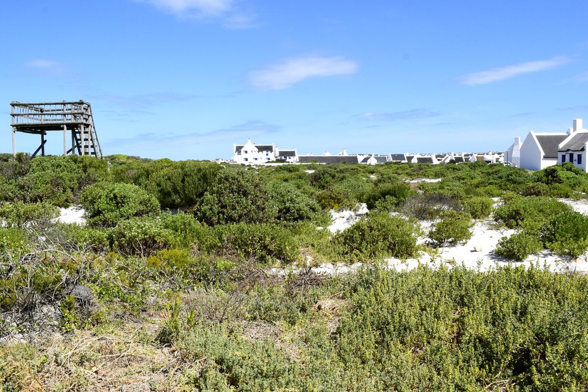 A view of a coastal residential plot featuring native vegetation, sandy ground, and a raised wooden observation deck.