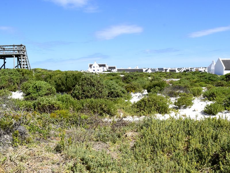 A view of a coastal residential plot featuring native vegetation, sandy ground, and a raised wooden observation deck.